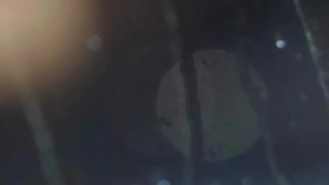 The Heiress's Reckoning: When Umbrellas Hide More Than Rain