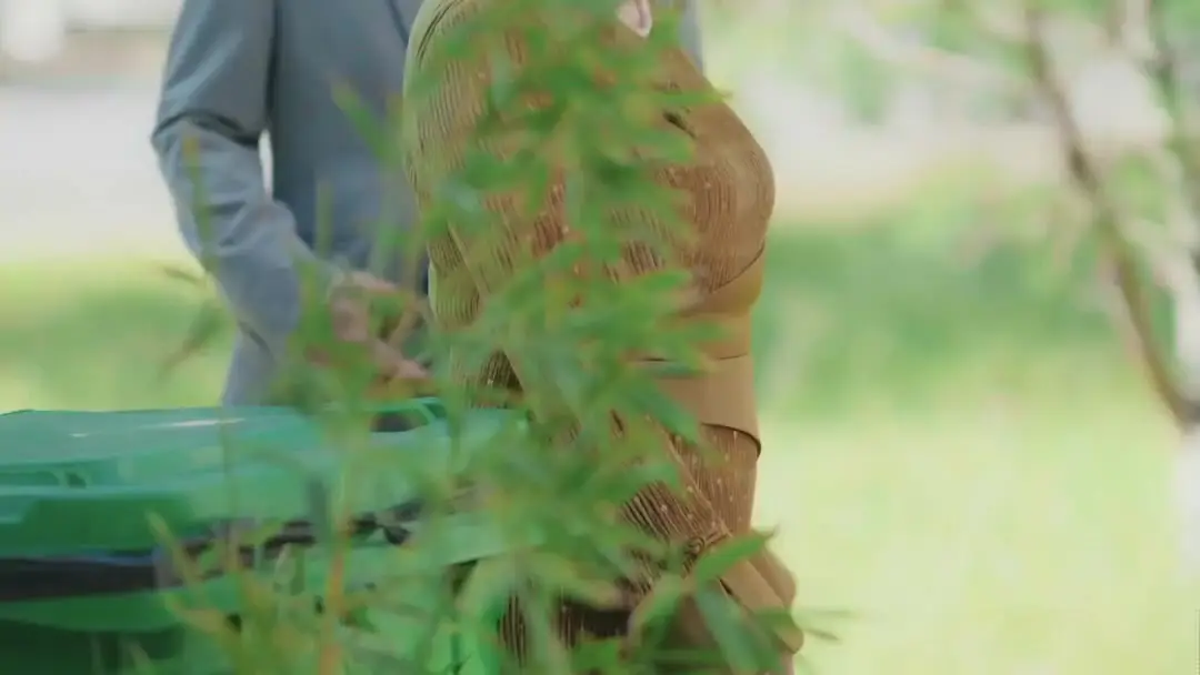 Love's Destiny Unveiled: When Silence Speaks Louder Than Ties