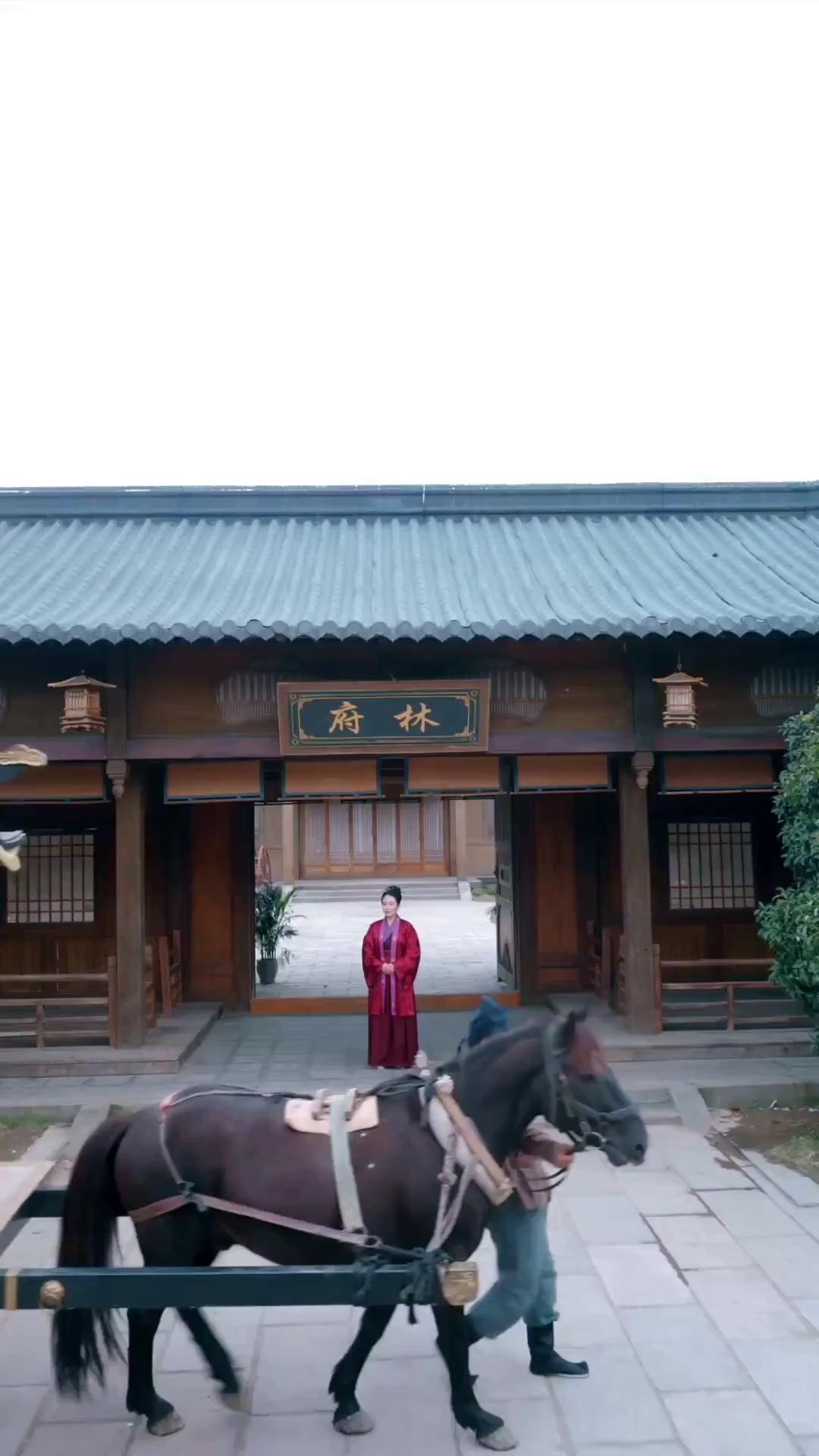 (مدبلج) حين أكون فاسقا عابرا… وتكون زوجتي معادةالميلاد