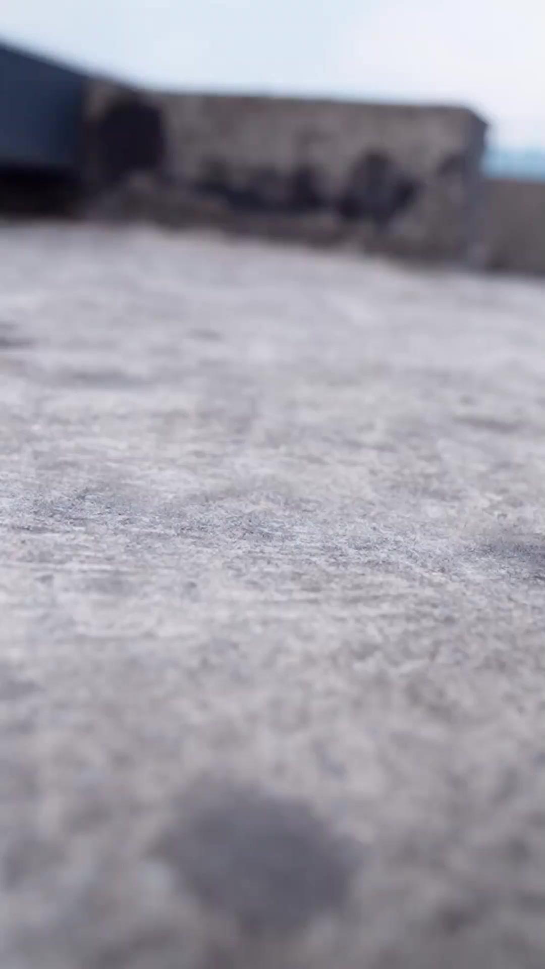 عدتُ إلى الماضي لأتخلى عن من أنقذني