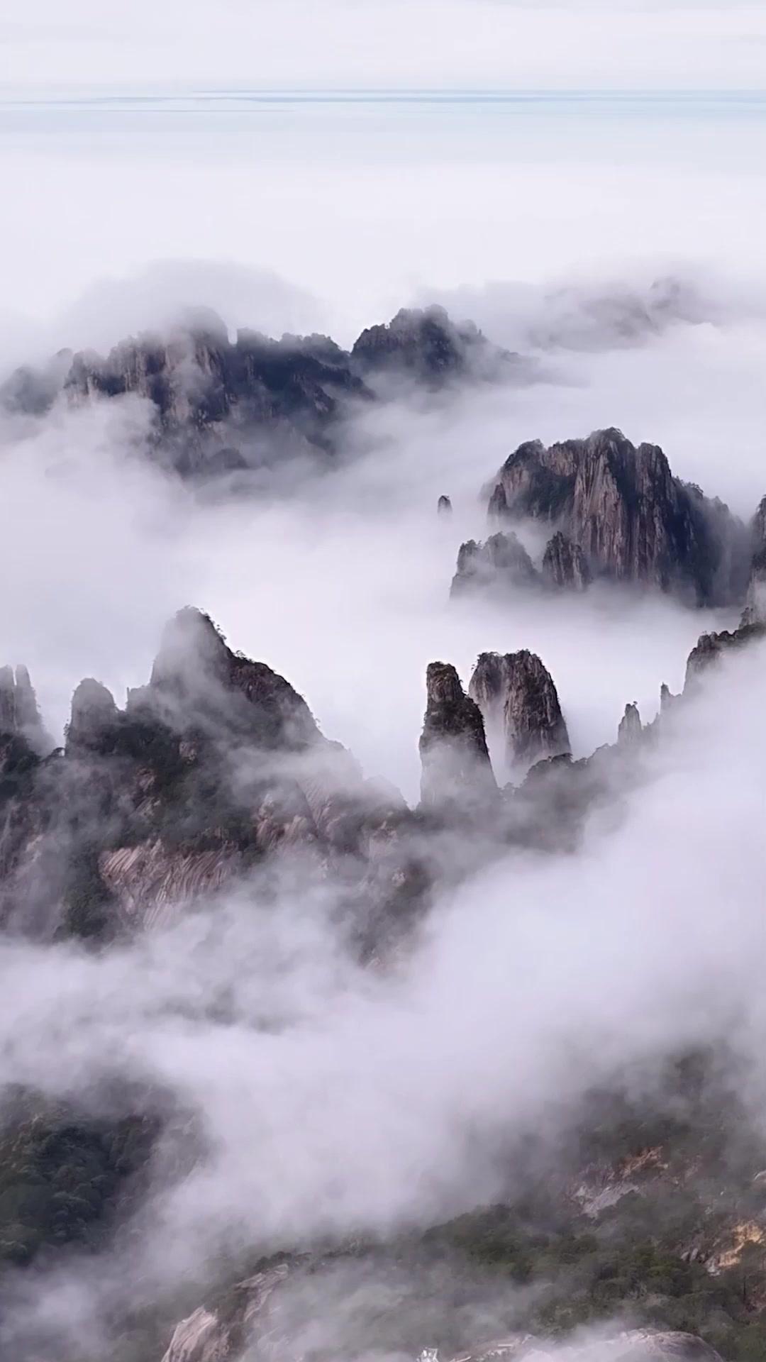 女医伝～薬香に隠された宿縁～