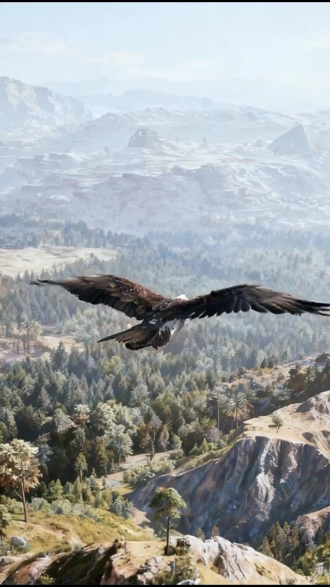 山賊から始まる成り上がり人生