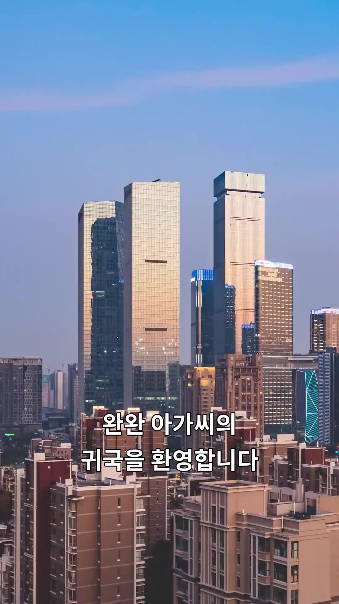 (더빙) 외로운 그림자여