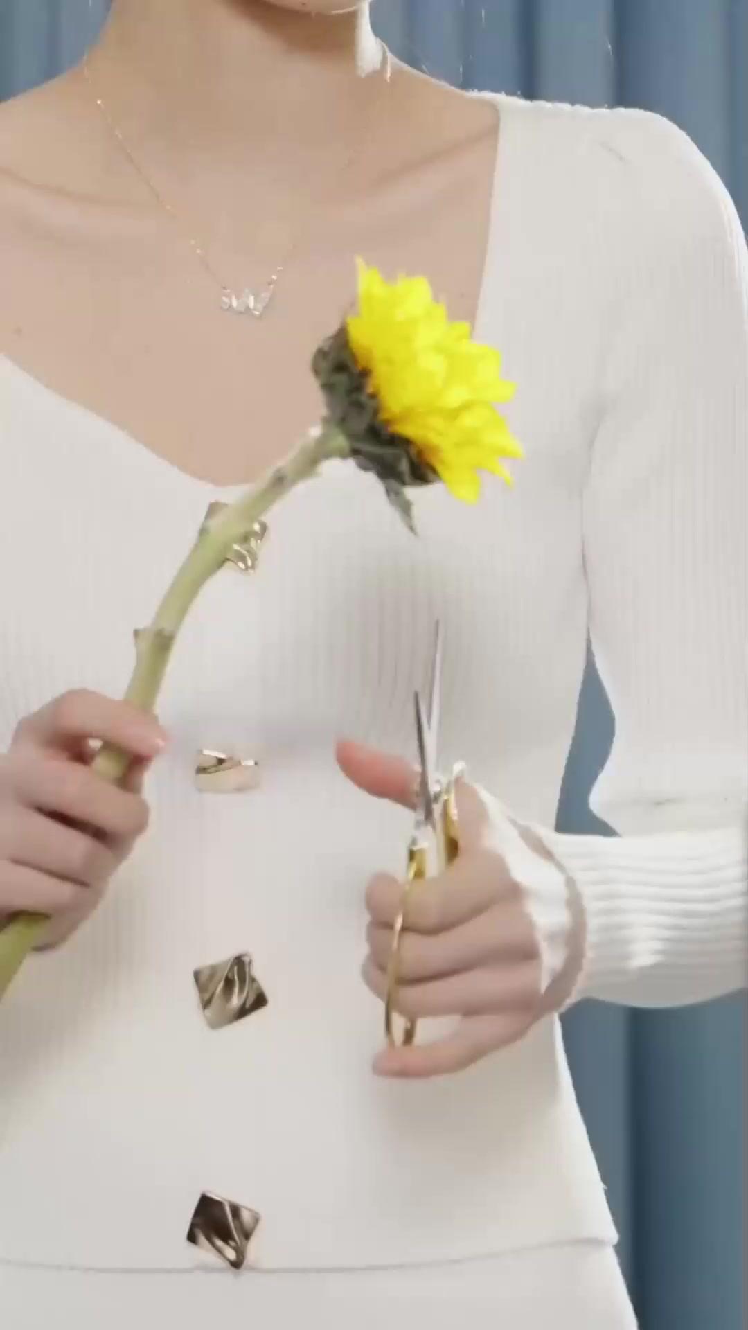 DANS LE LIT DE MON ENNEMI