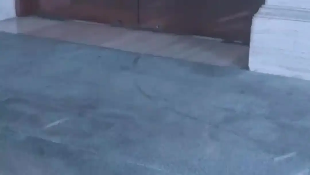 Who’s Really Frozen Here?