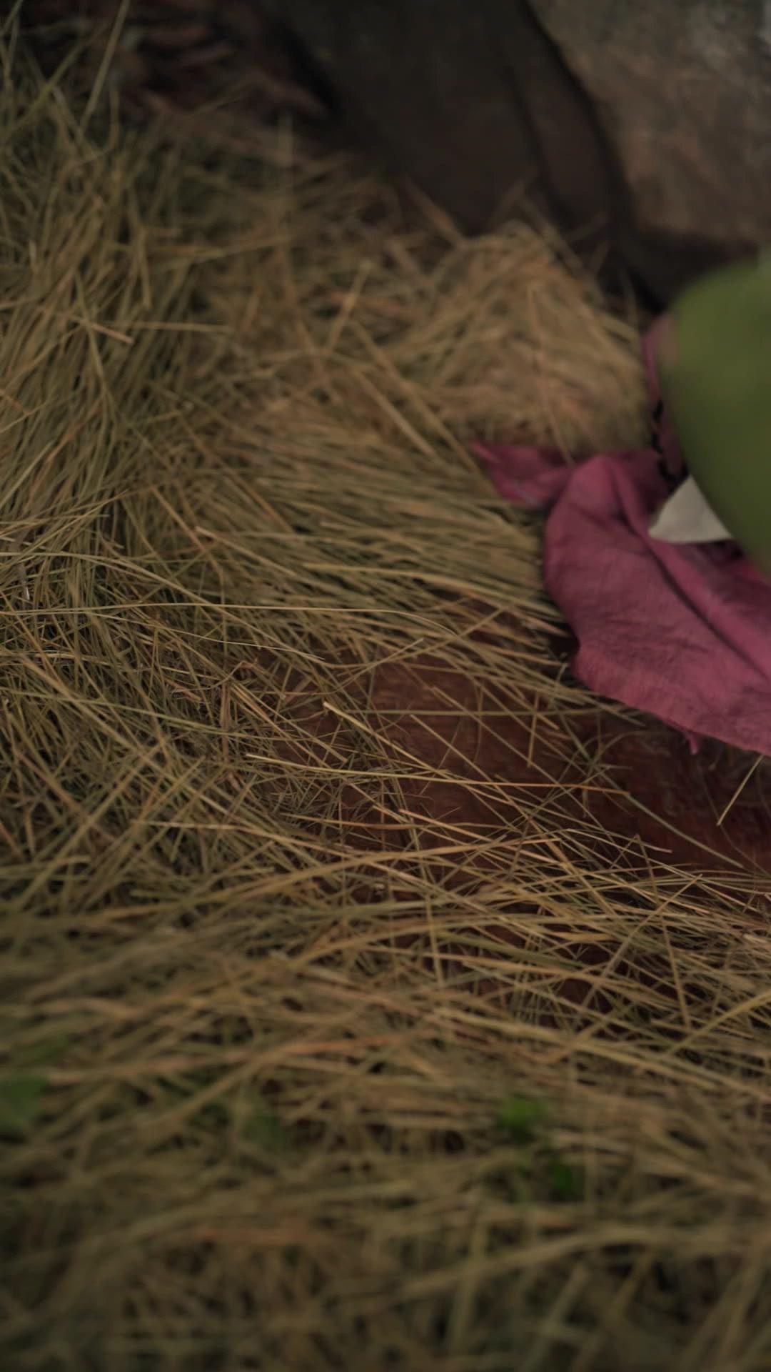 نجمة الحظ العظمى