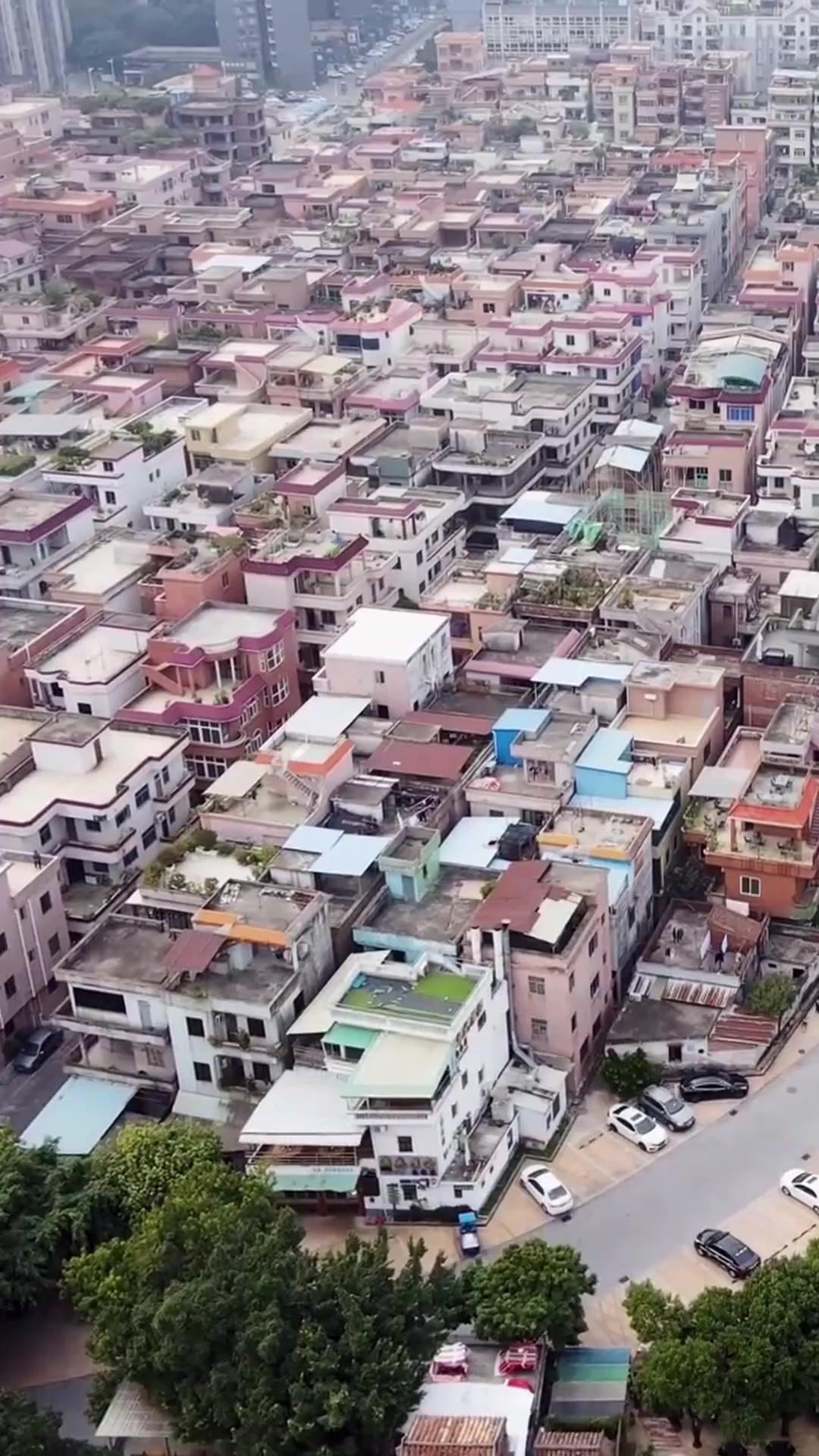 Widergeboren in Flammen: Missy verflogt von ihren Brüdern