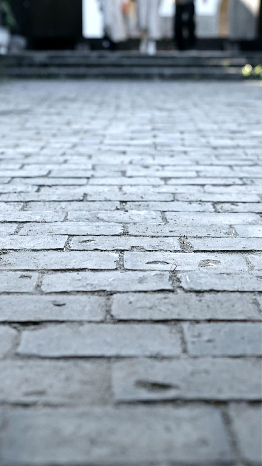 仙脈封印中，但我超能打