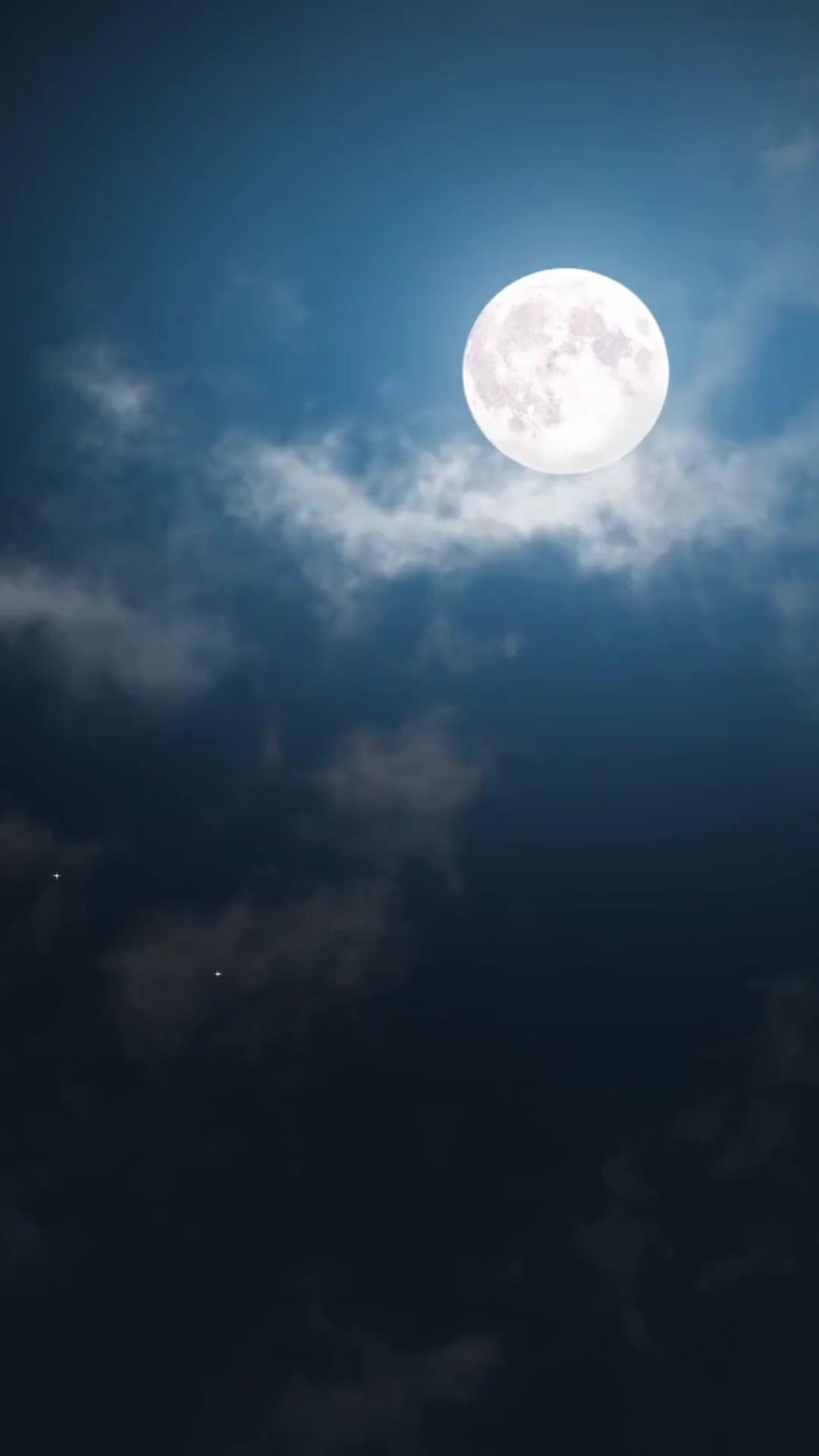 I Became My Sister to Avenge Her