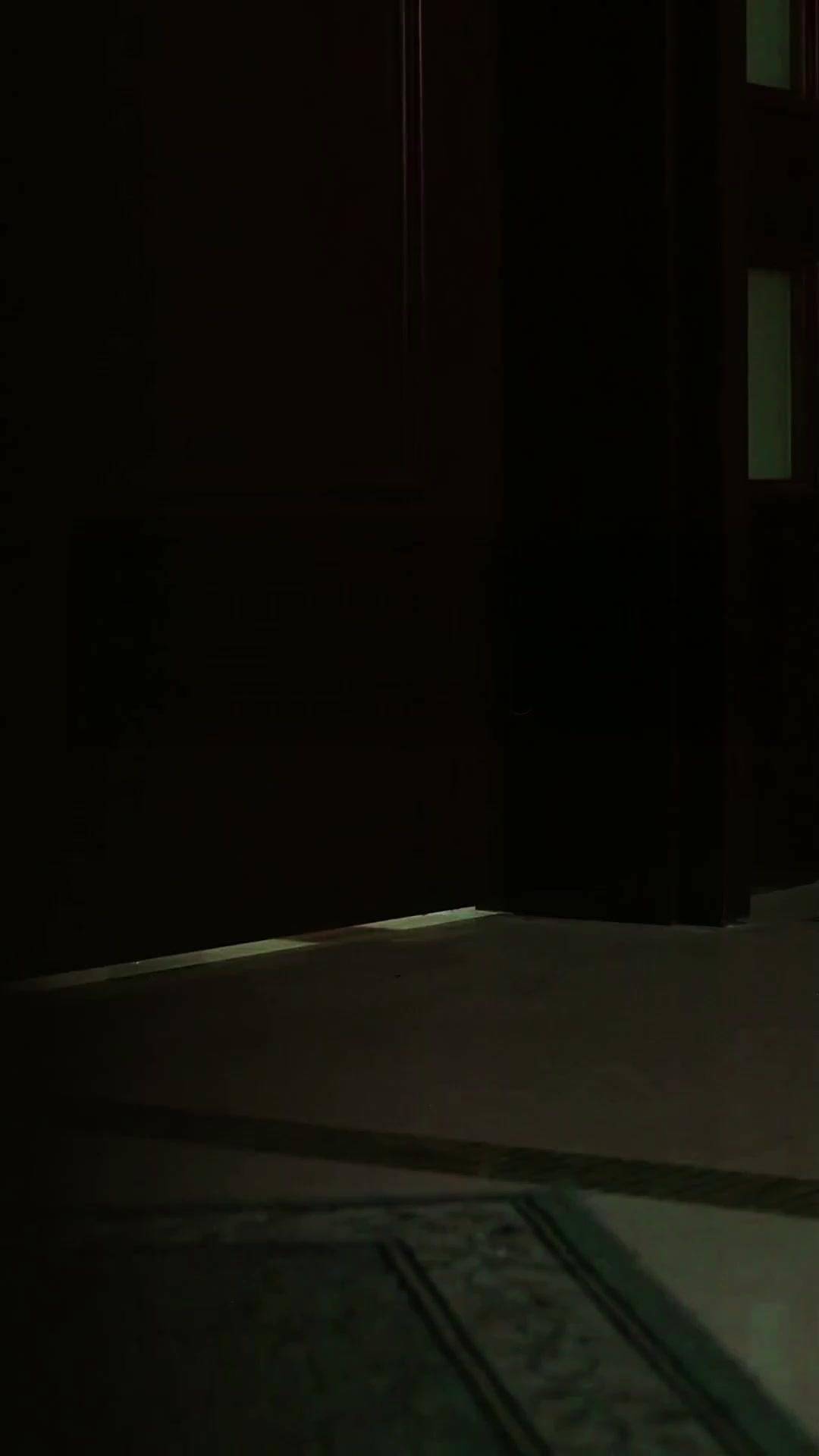 Catatan Penjinakan Suami CEO