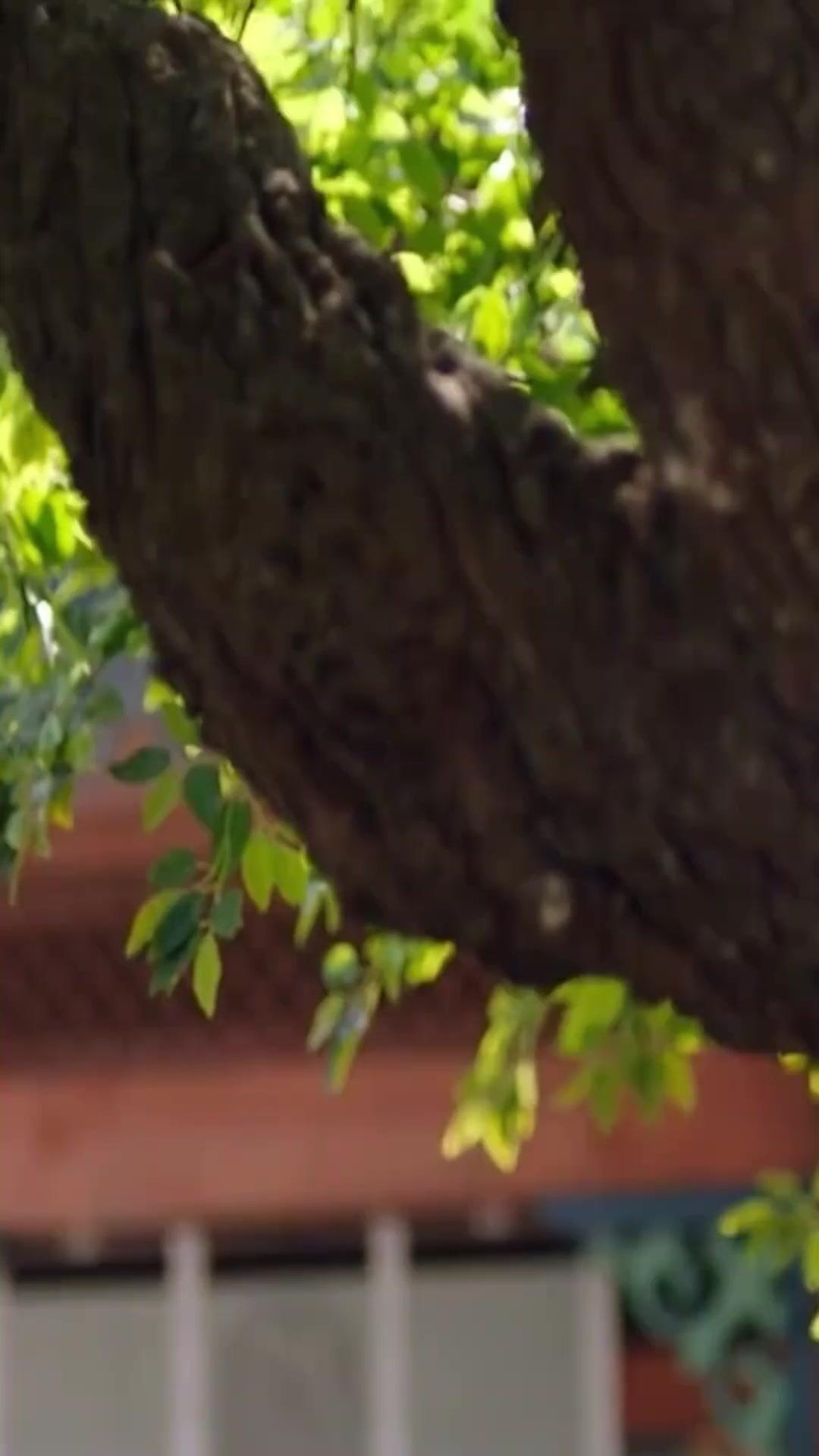 Keturunan adalah Warisan