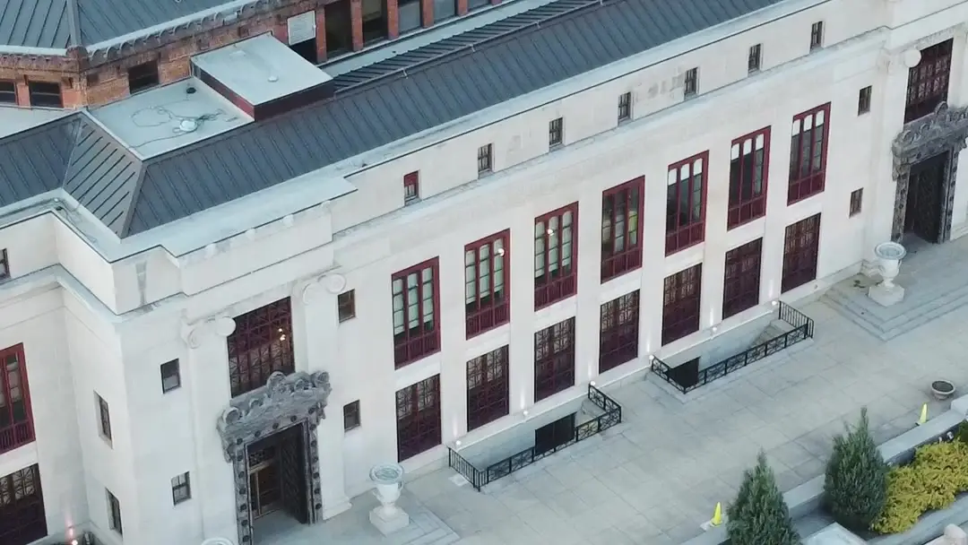 When ‘Disgrace’ Is a Power Move