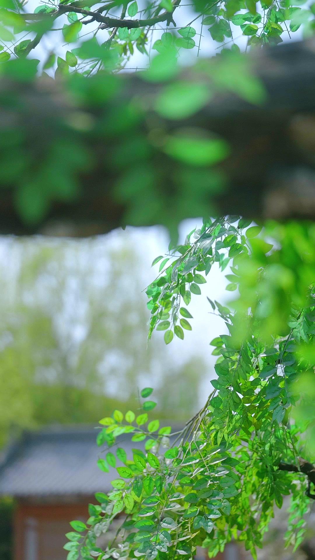 Masuk buku jadi kesayangan kaisar