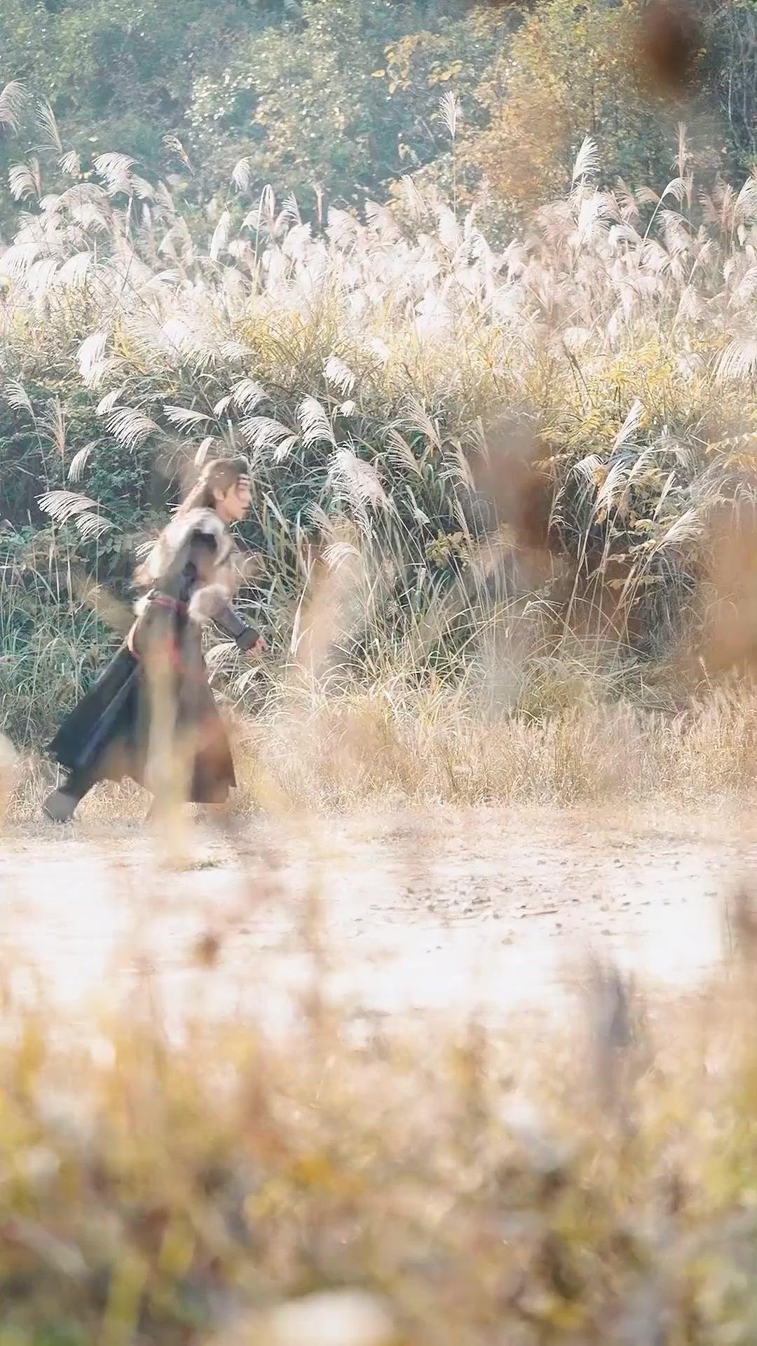 (Dubbed)Frost and Flame