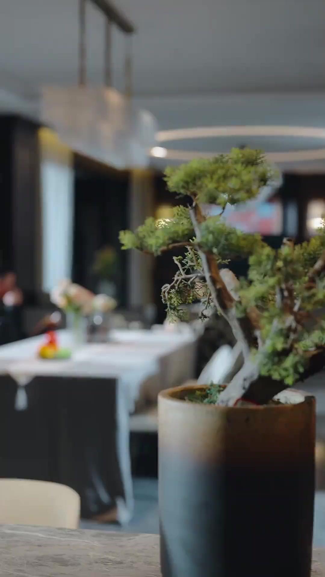 Doormat? She's the Dominator!