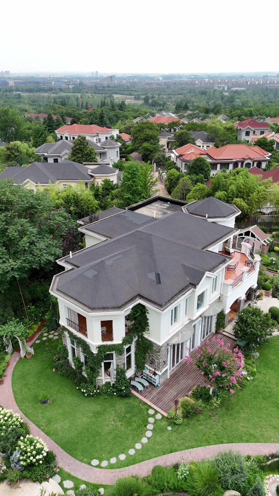 The Scarred King Returns!