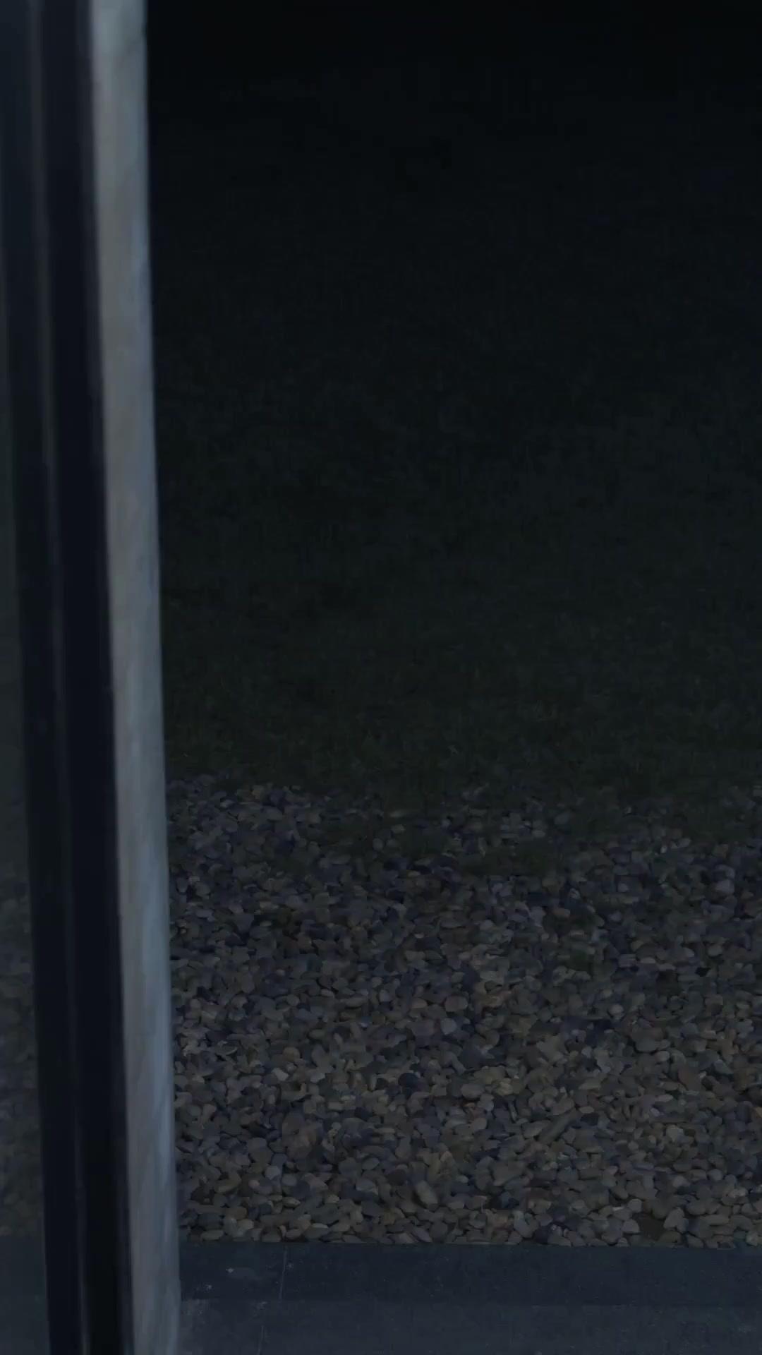 (Doblado)Atrapada en su mirada