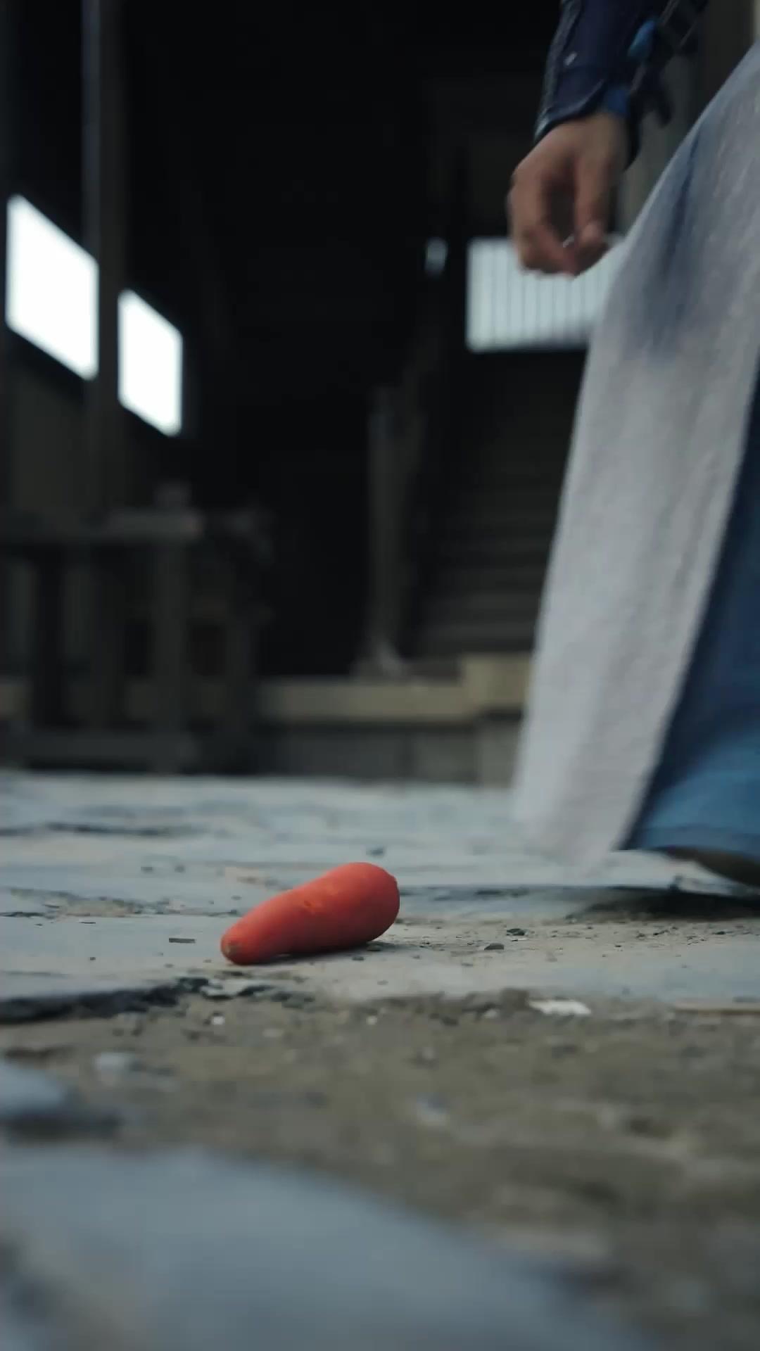 Himmlisches Schwert, irdischer Held