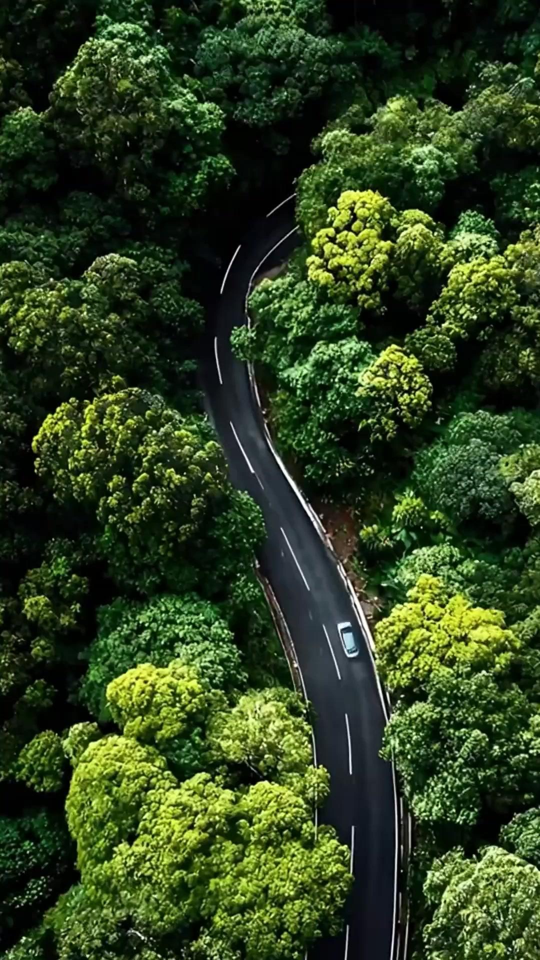 Her Heart Beats Inside Me