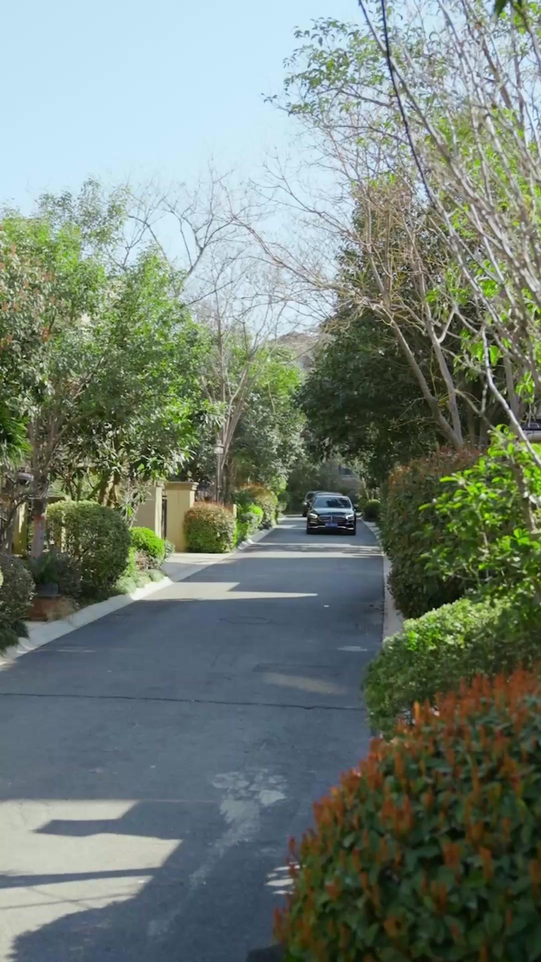 林深霧暗曉光遲