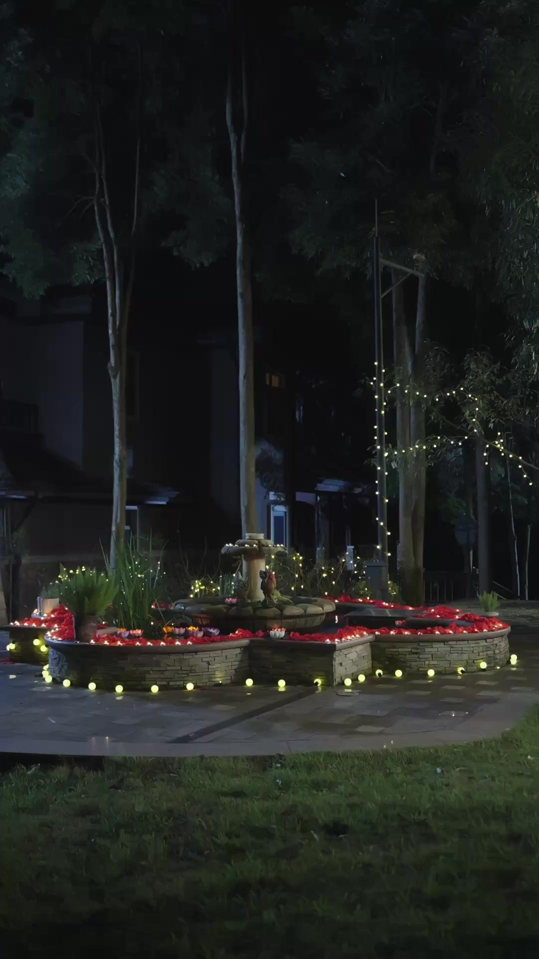 A Esposa do CEO é Selvagem