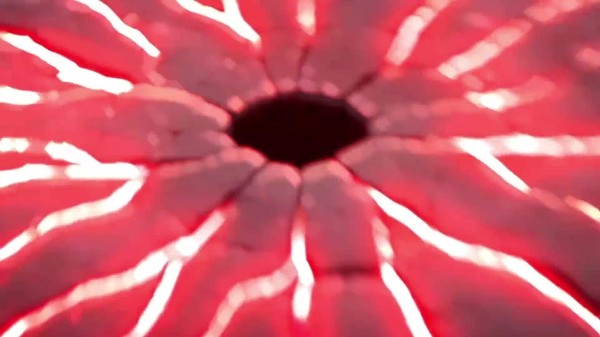 Vạn Năm Hy Sinh, Một Lần Phản Bội