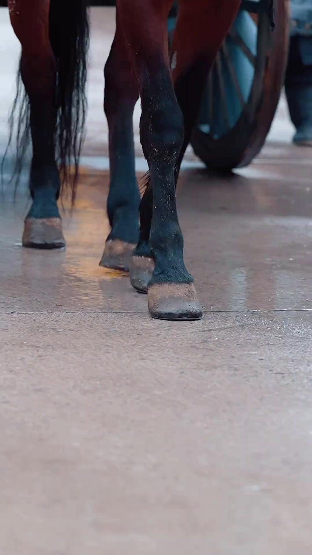 手握紅纓誓昭雪