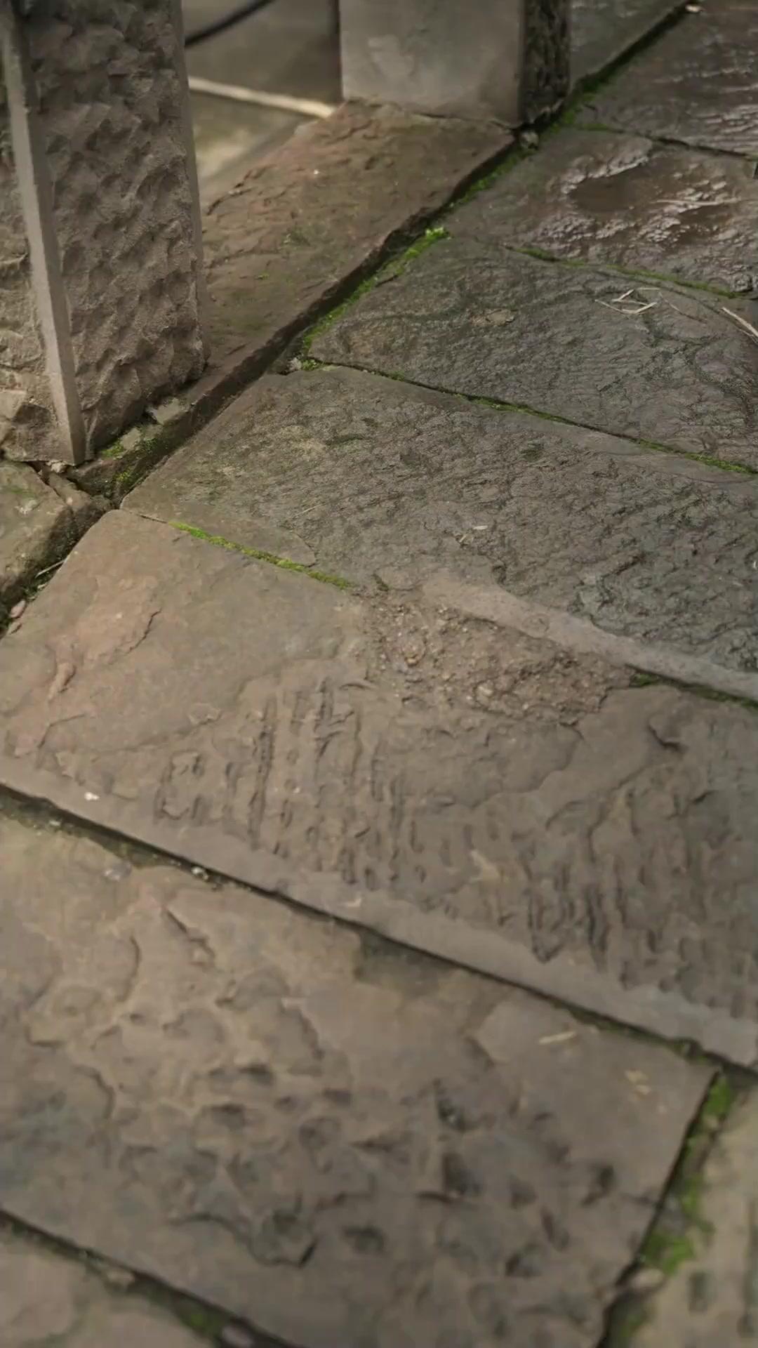 어디 있나요, 나의 기사님