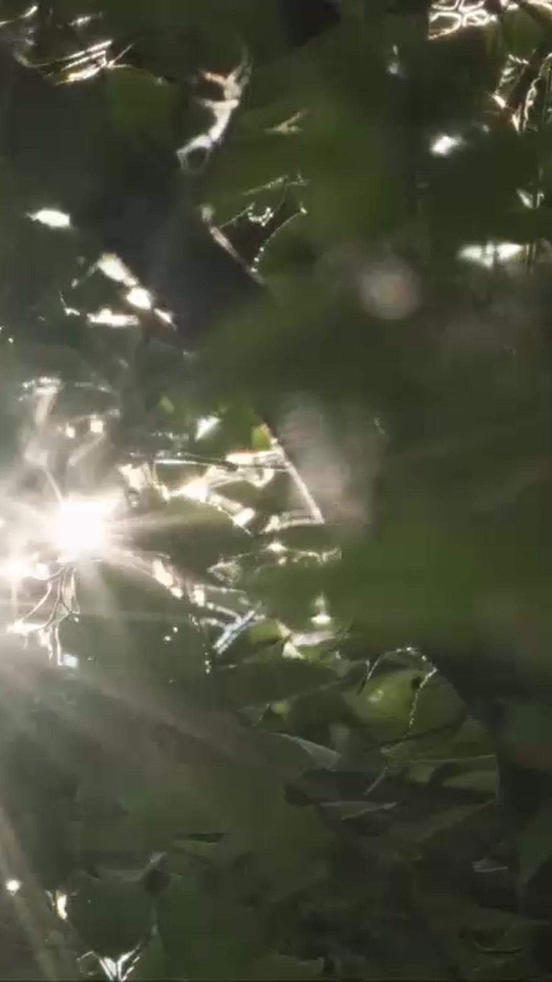 Pretend Amnesia, Real Love