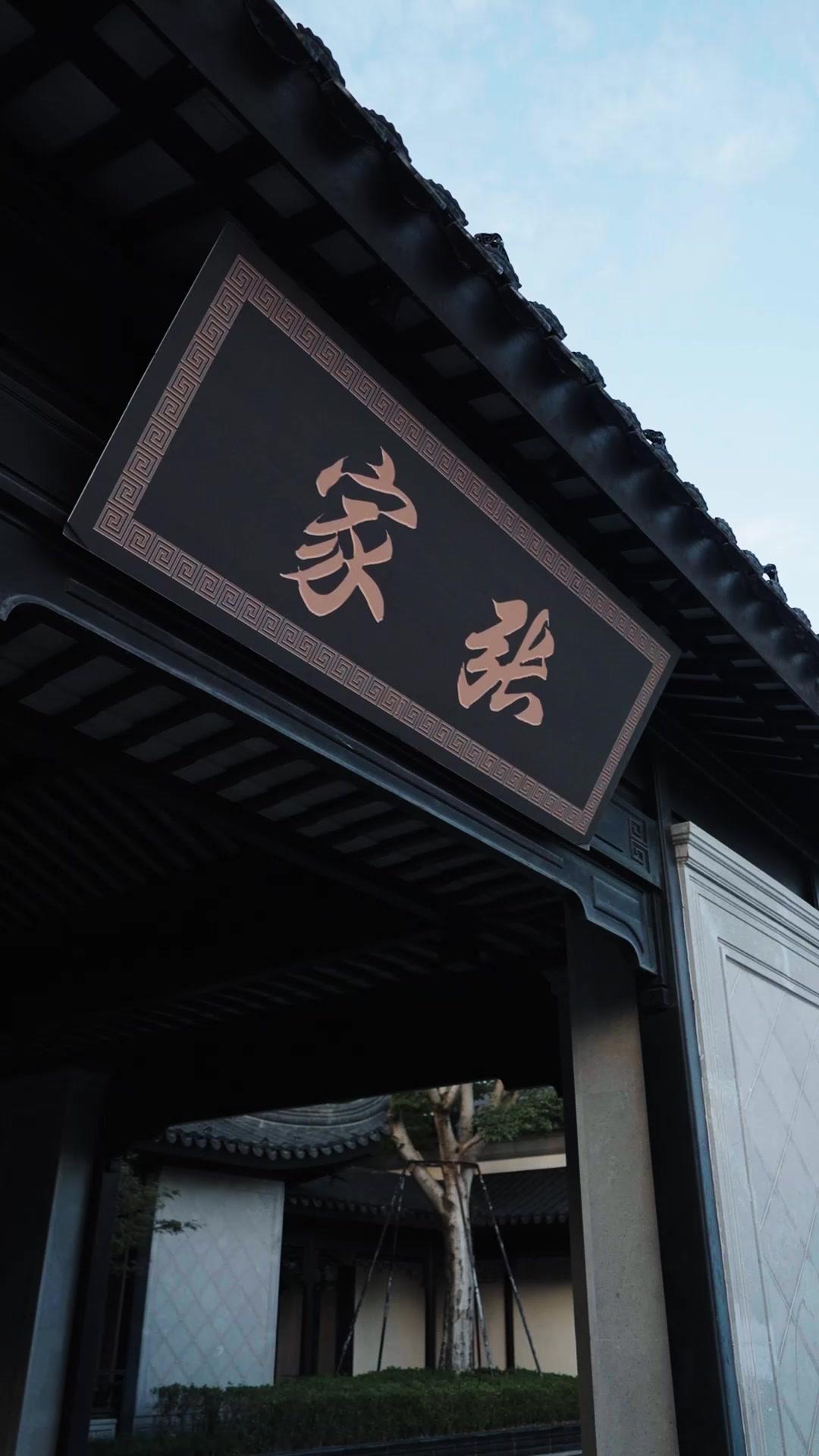 本觀主五歲，專治不服