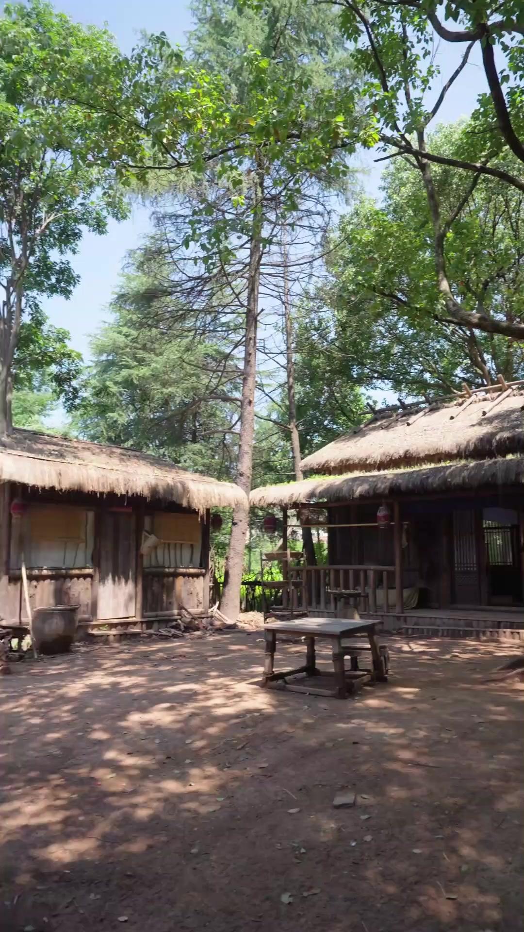 흉년에 장사를 시작했다