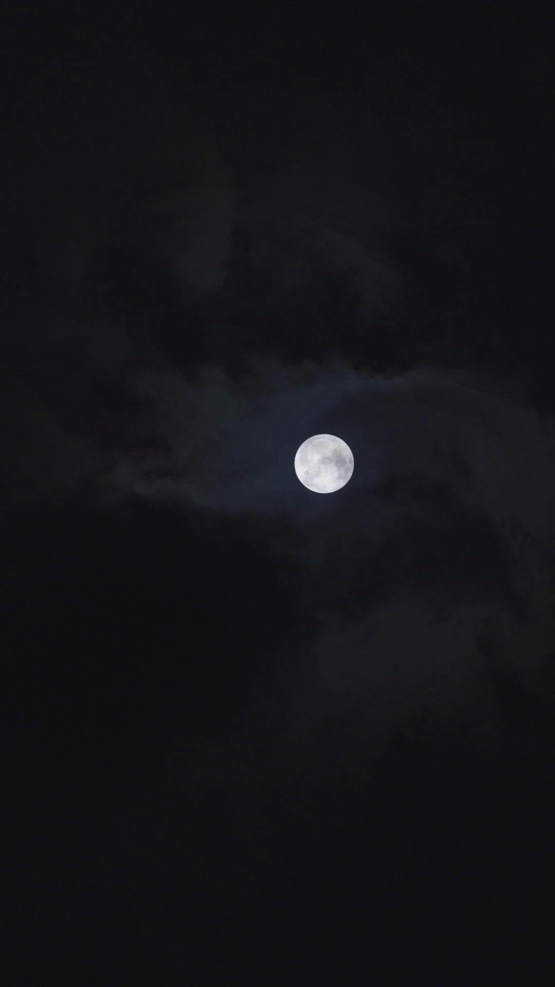 General! The Empire Needs Us!