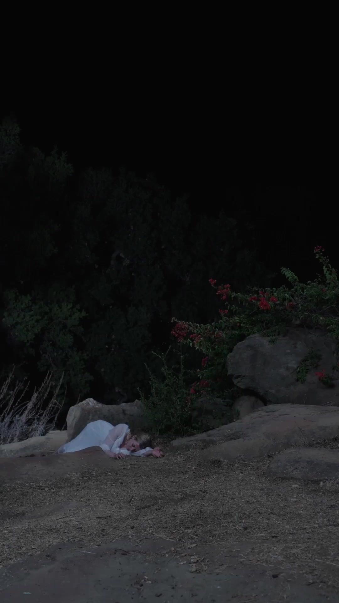 (Synchro)Gefangener Phönix