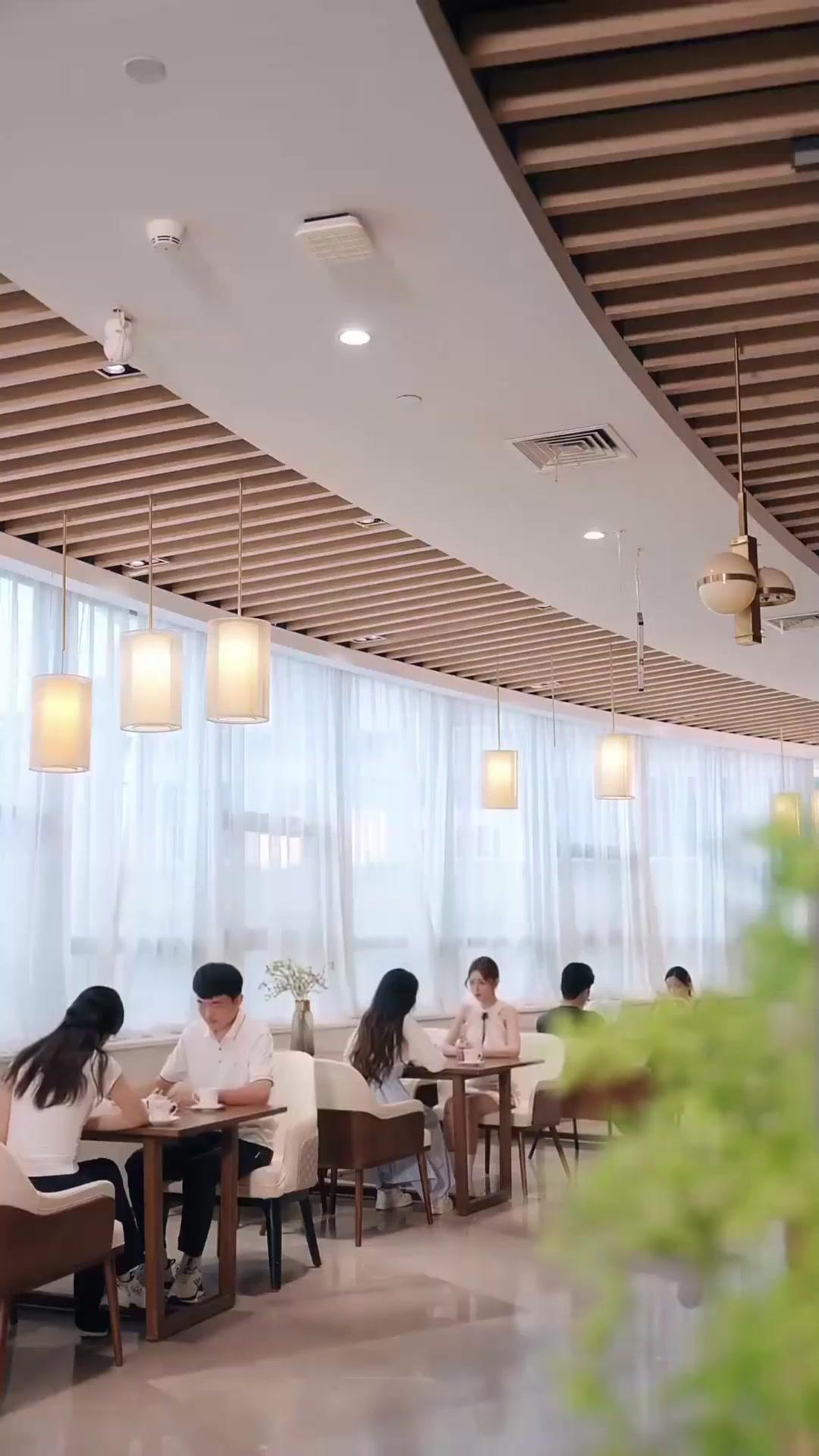 Istri Kontrak Sang CEO