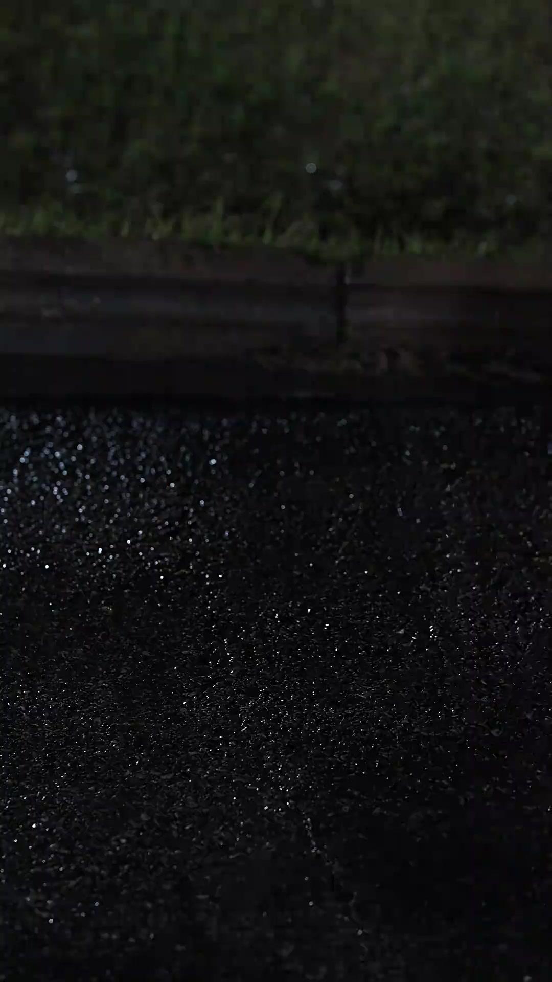 Renascimento: Agora Eu Decido!