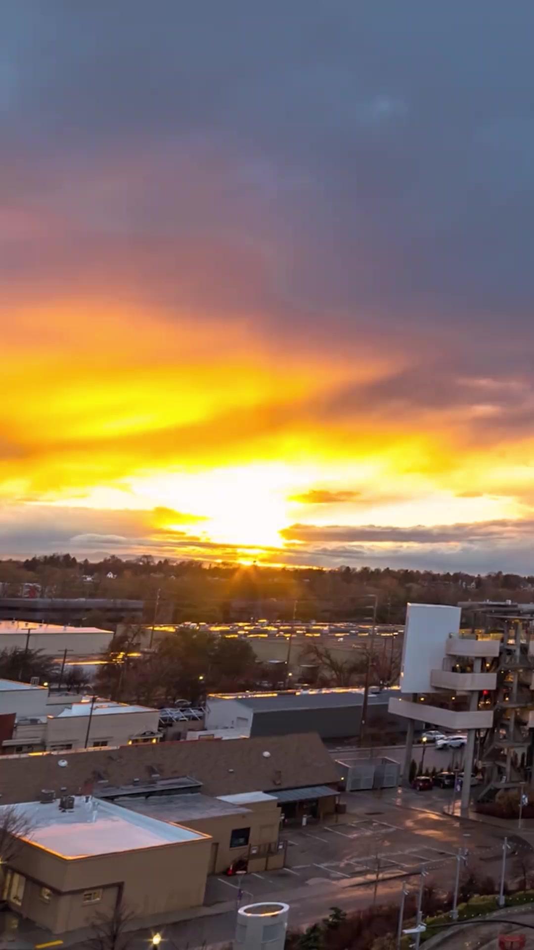 Rey bastardo de la jaula