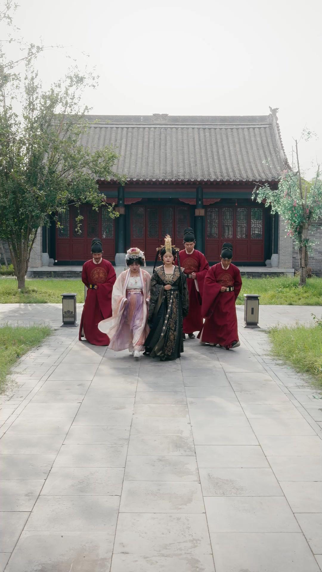 The Wolf King Is My Consort