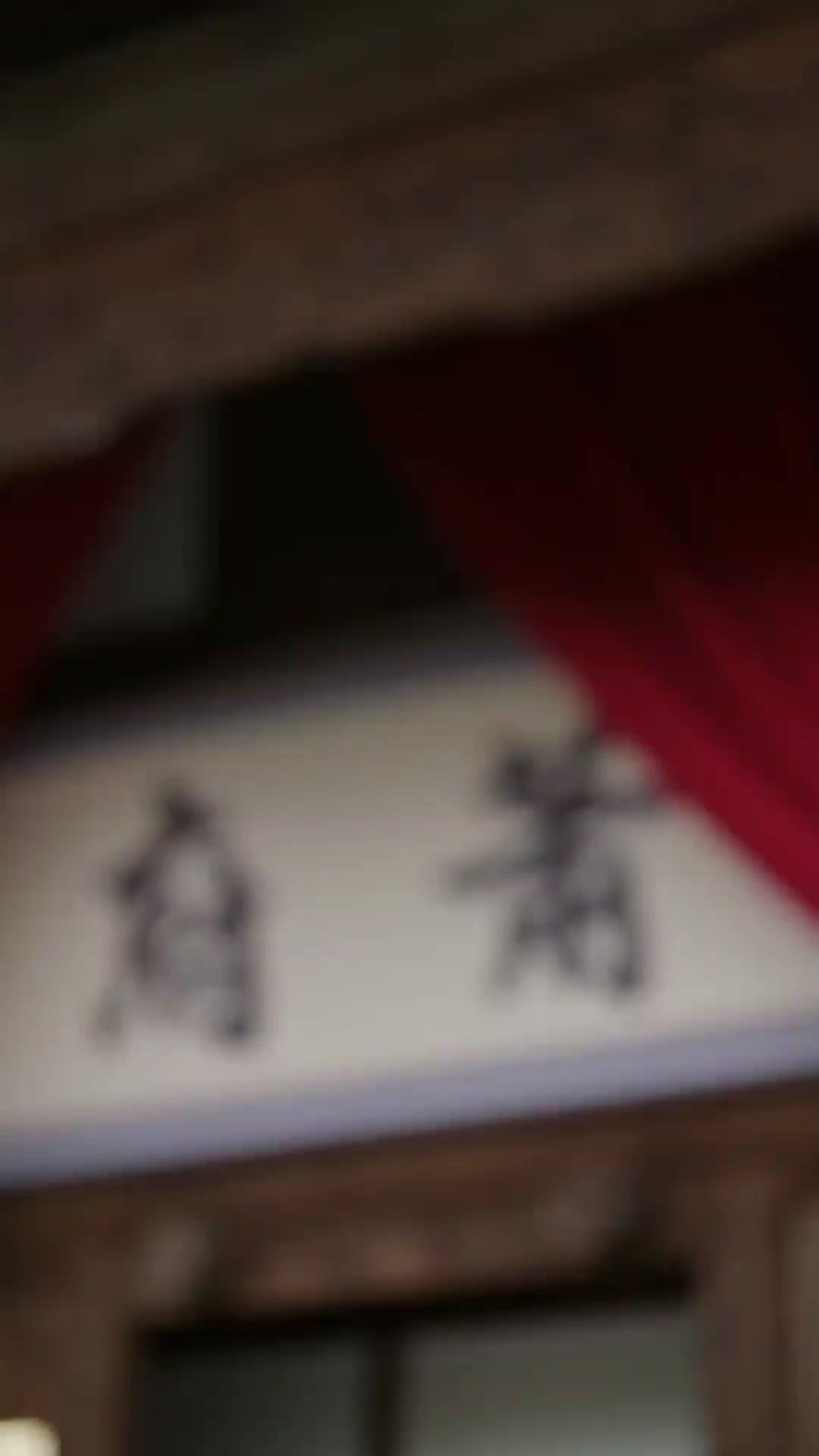 พ่อลูกสะท้านยุทธภพ