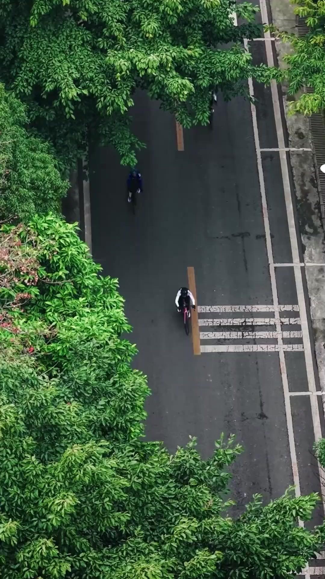 Adeus, Quero o Primeiro Lugar