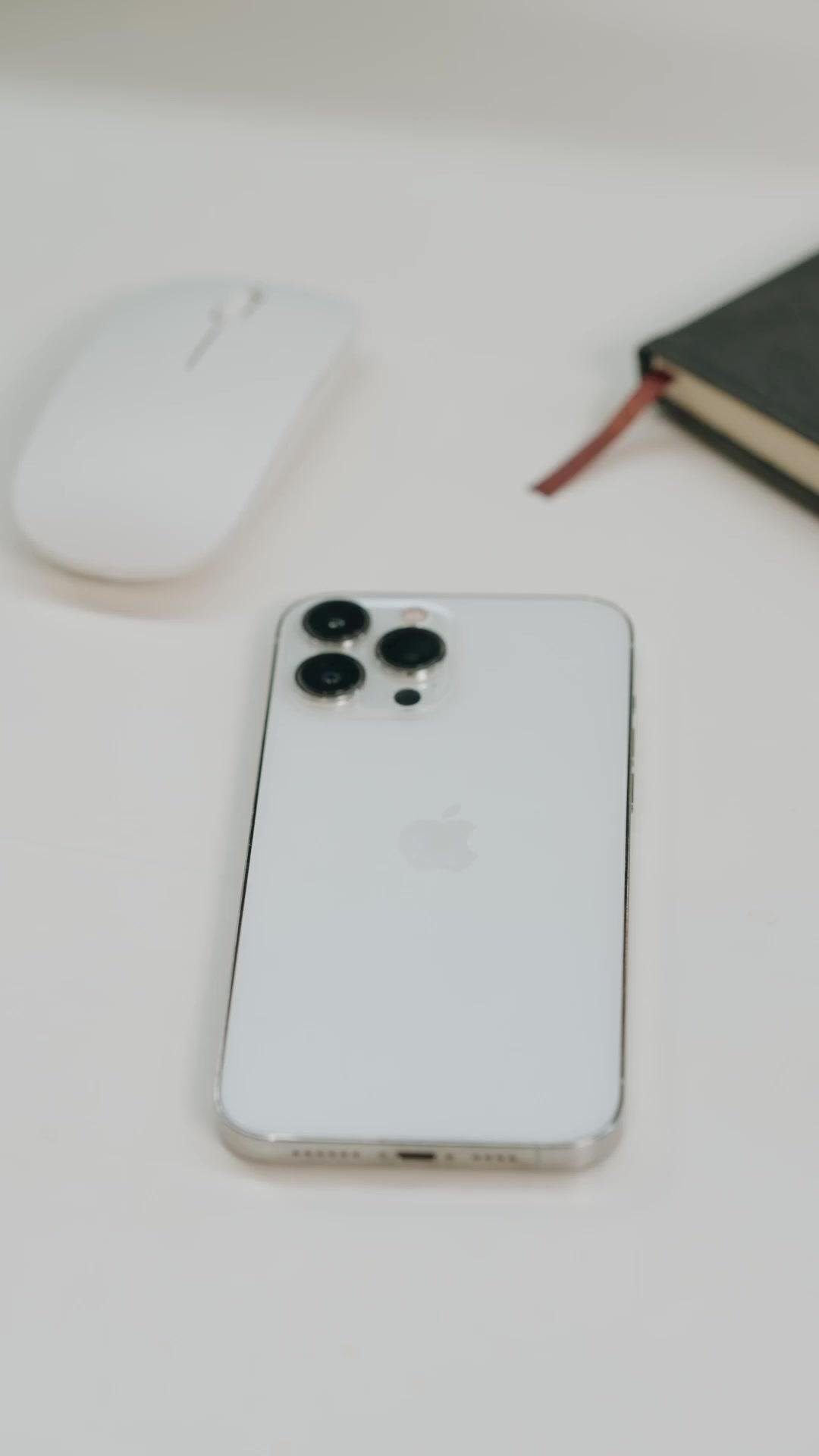 Misi Rahasia Si Kembar Naga 