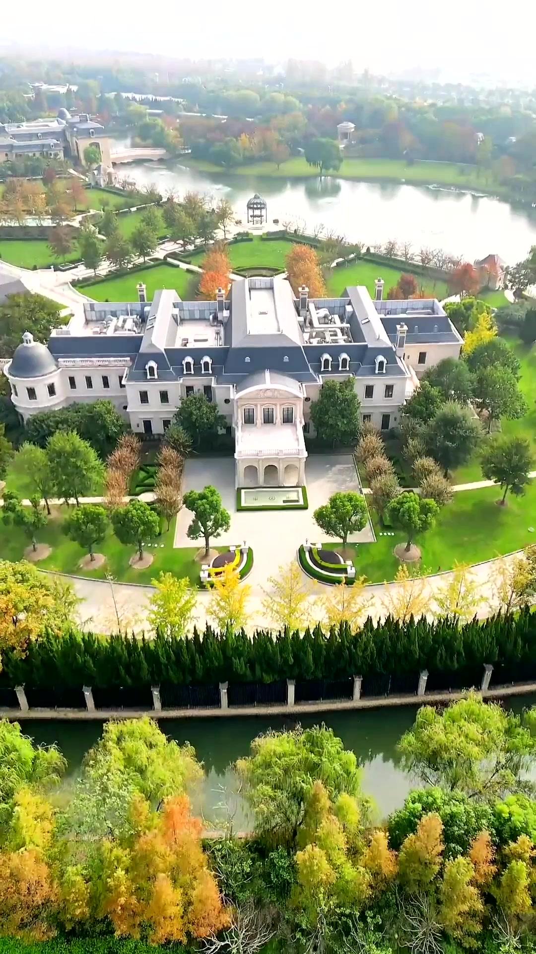 الكنة الجديدة والعنف الأسري