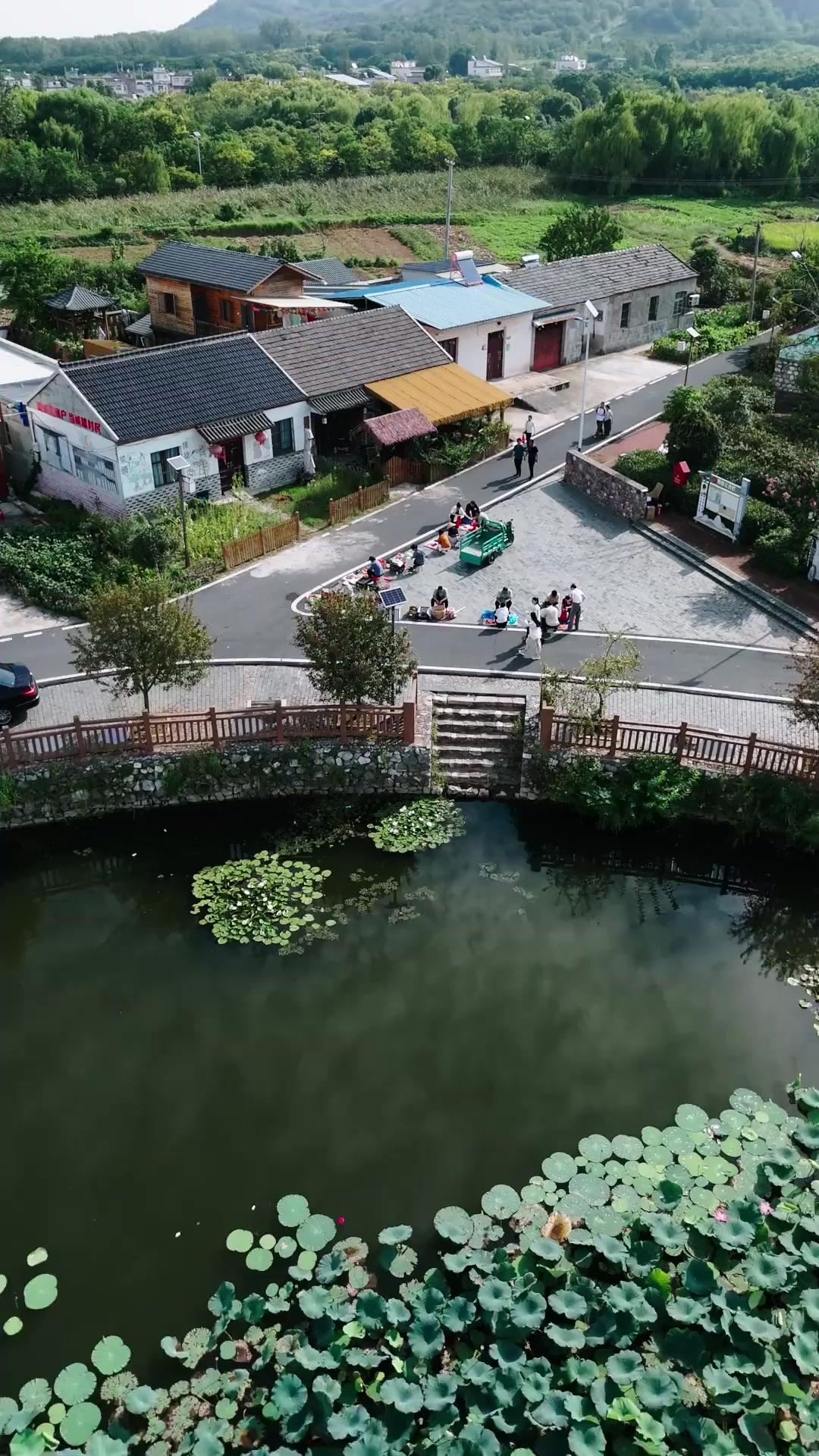 Touch My Father-in-Law, You’re Finished!