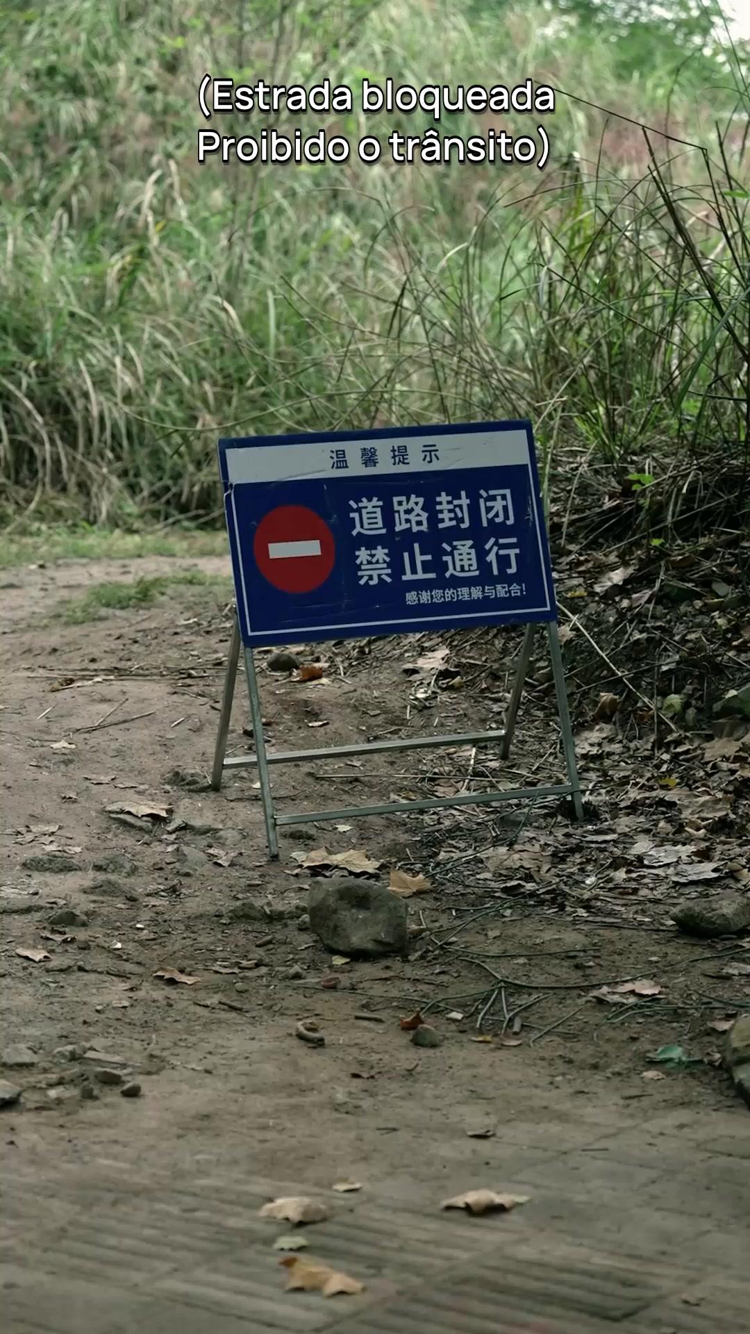 Retornar à Terra Natal