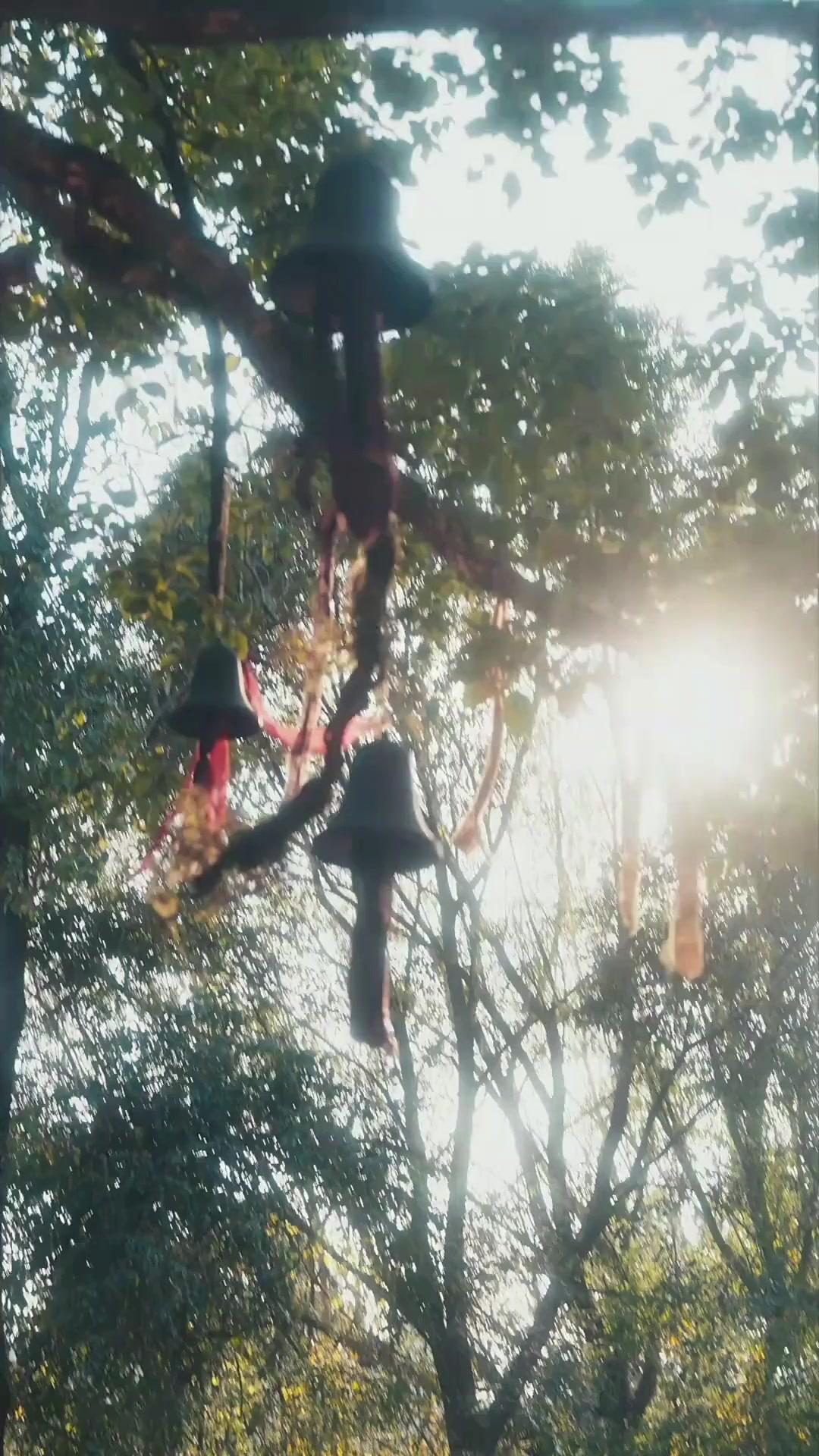 Kiêu Sĩ Vô Cương