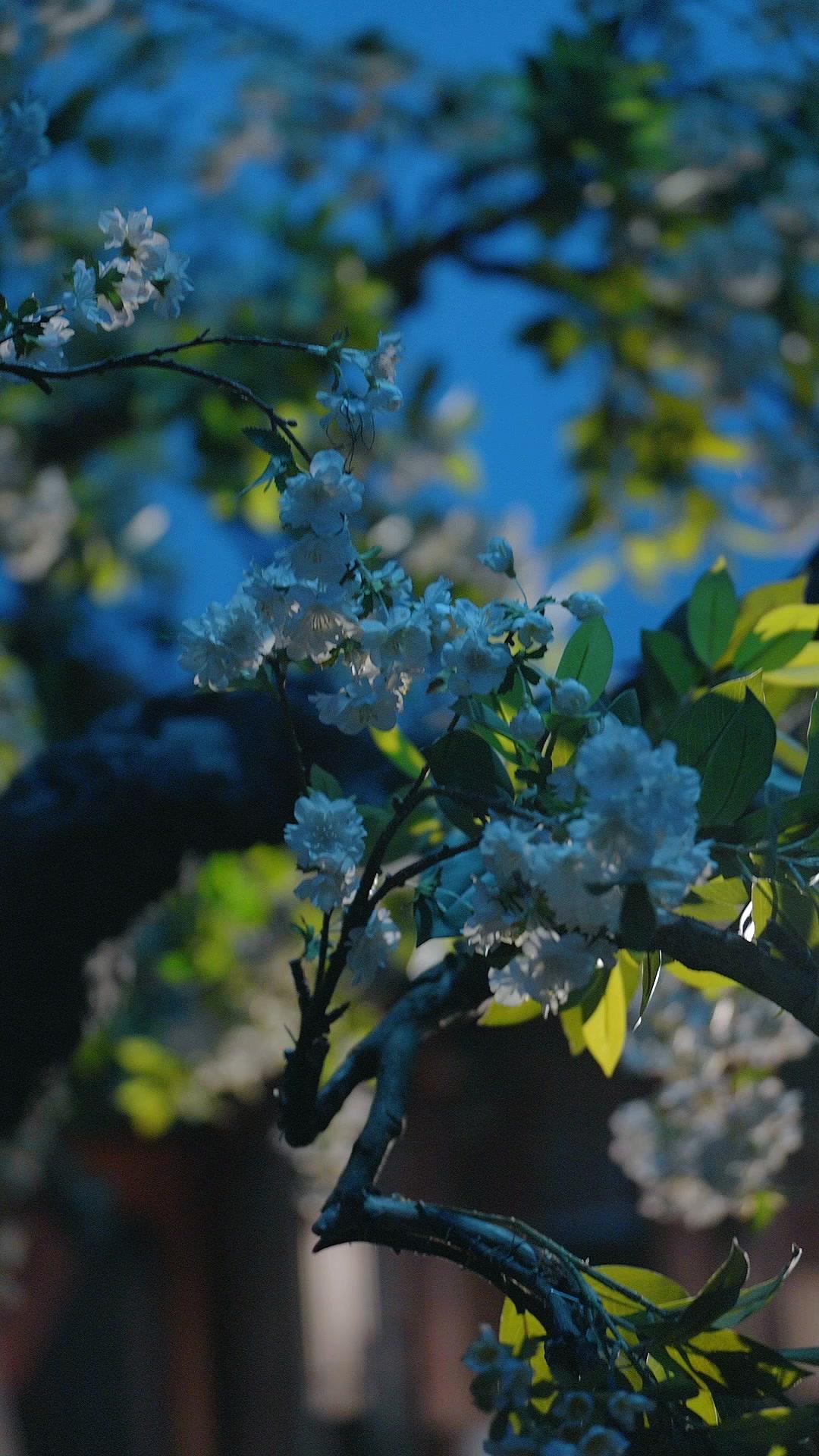 Masuk buku jadi kesayangan kaisar