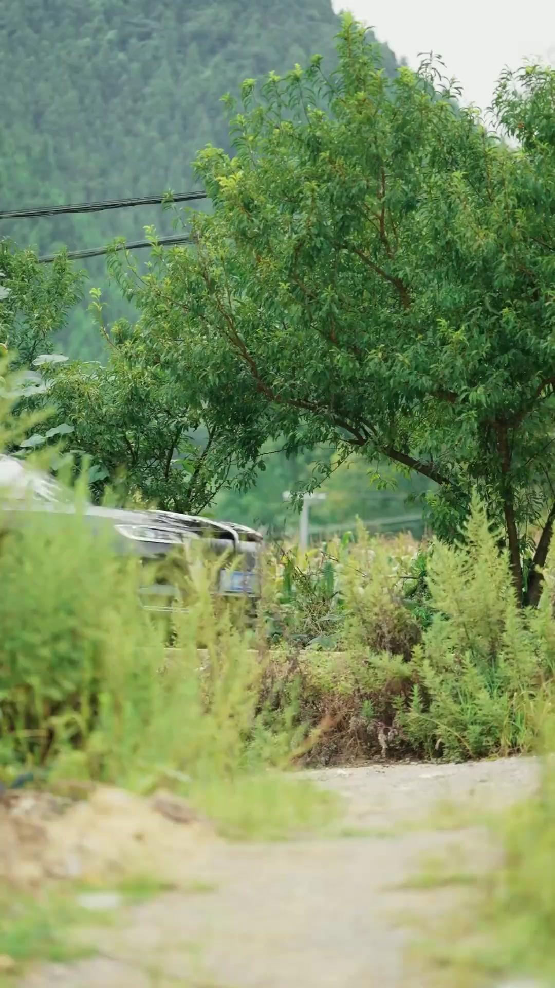 시골 사돈 가족의 정체가 뭐야?