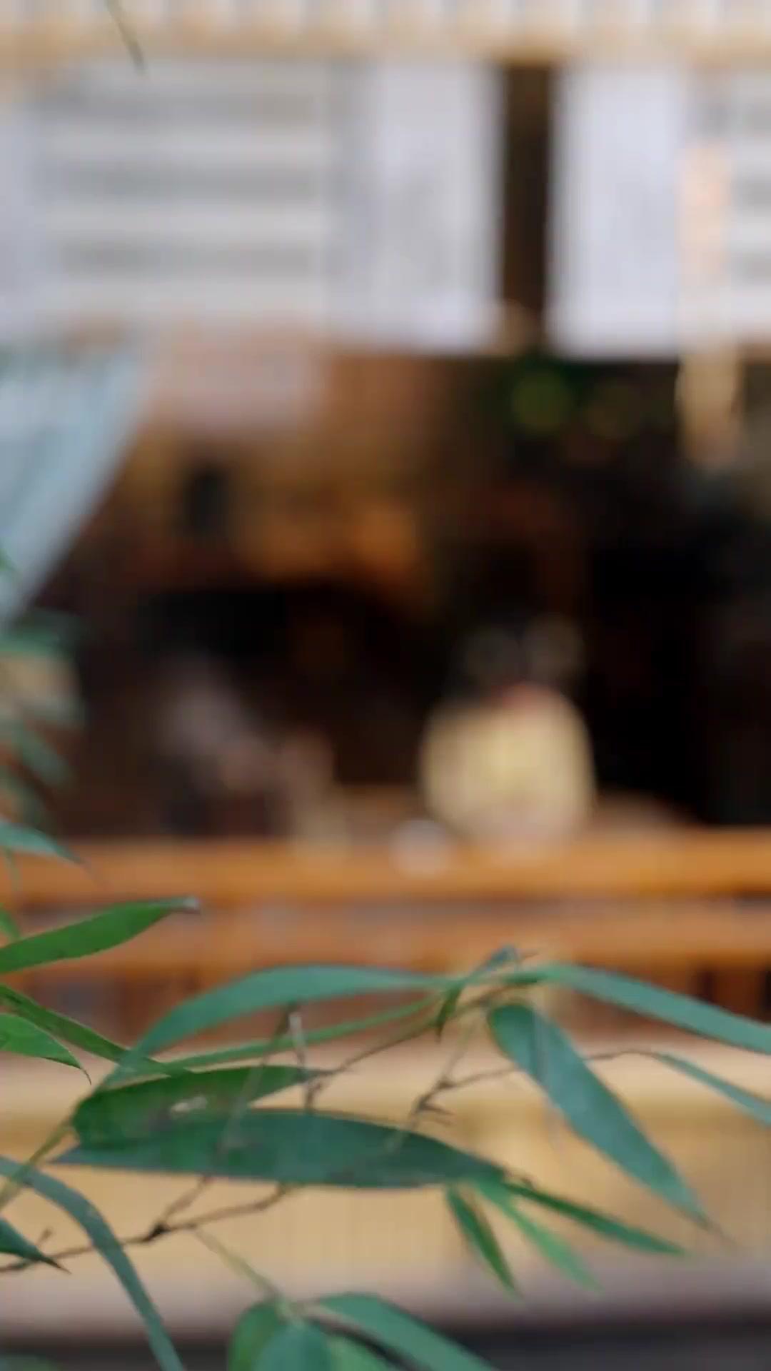 Anakku Tabib Penyelamat Negara 