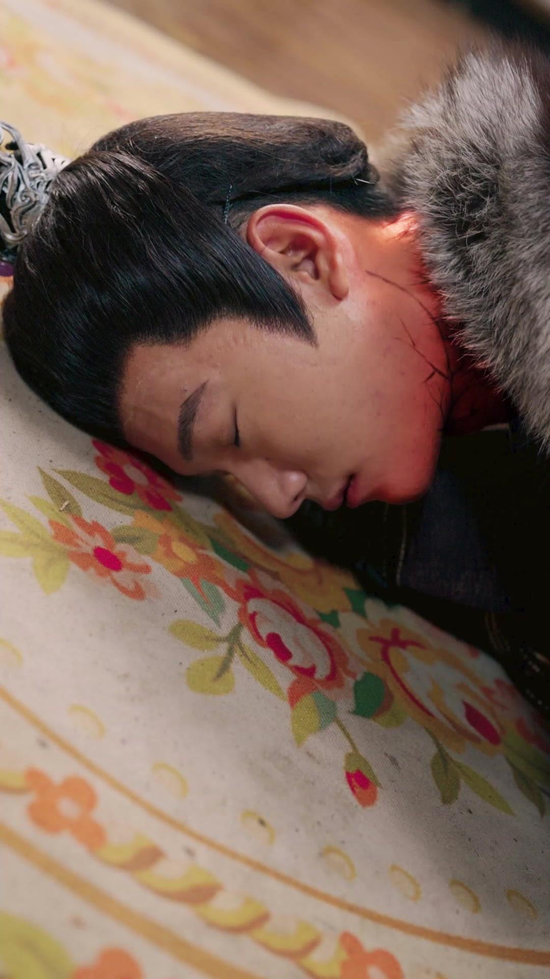 重生皇子定江山