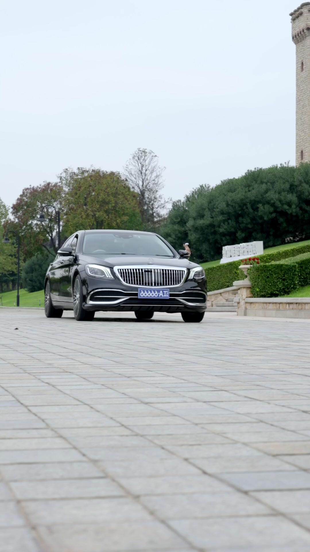 Bully Me? My Three Brothers Are Watching!