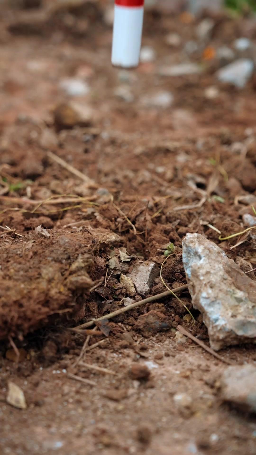 Amalku yang Diabaikan